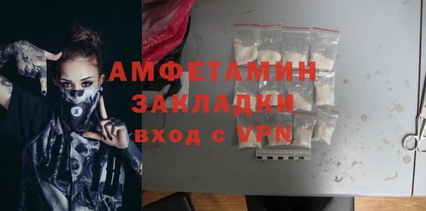 шишки Приозерск