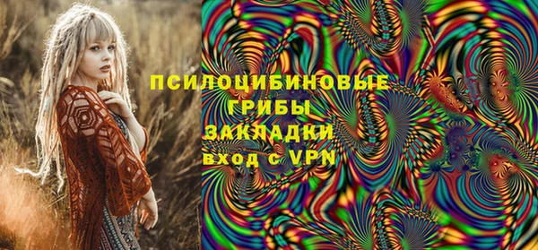 шишки Приозерск