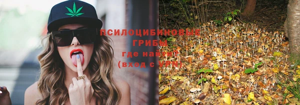 шишки Приозерск