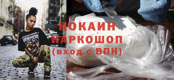 шишки Приозерск
