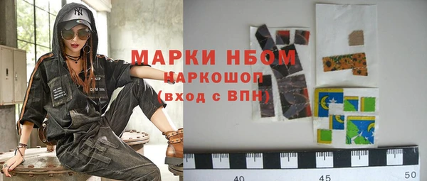 шишки Приозерск