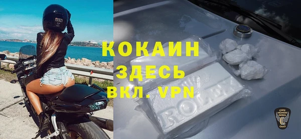 шишки Приозерск