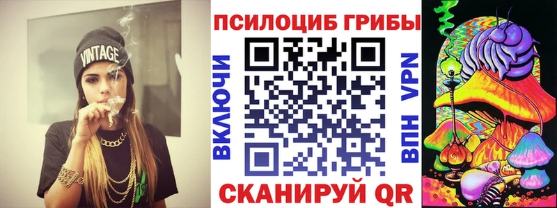 Купить закладки Пласт Галлюциногенные грибы мухоморы